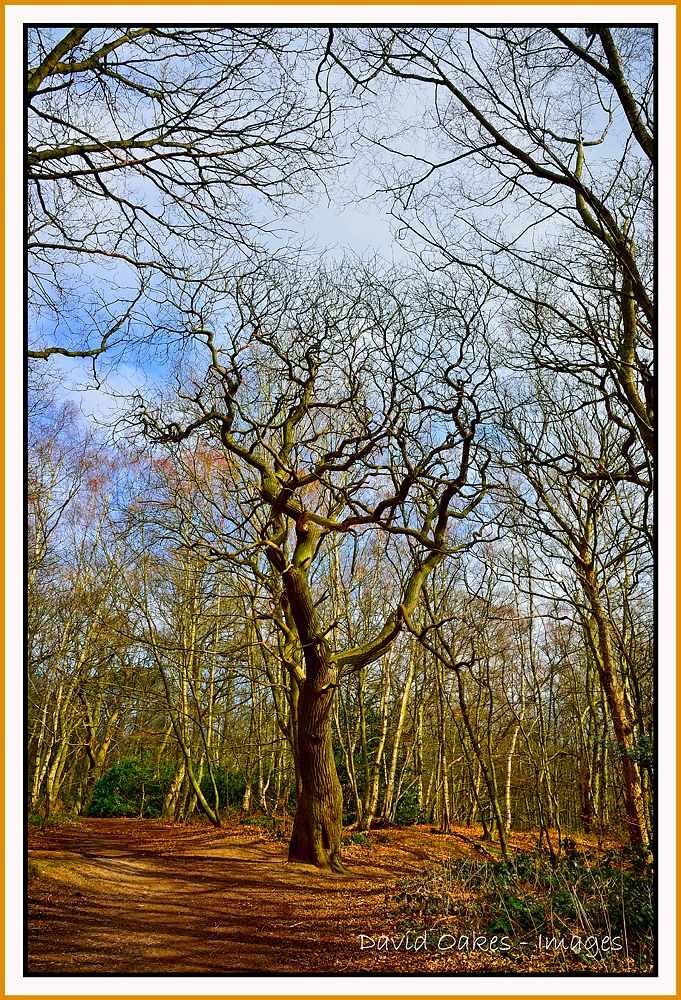 DOI_7520_00005-bb-tt