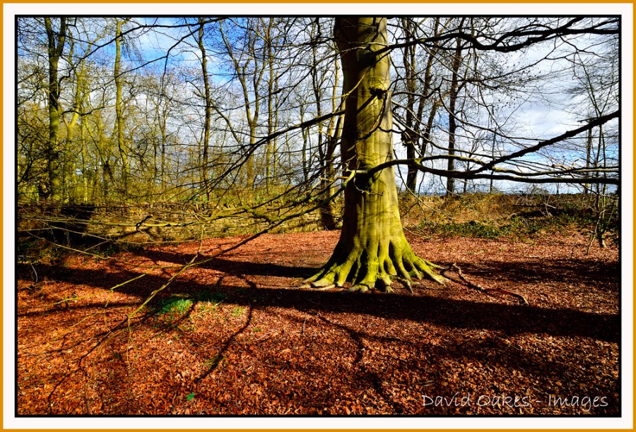 DOI_7590_00021-bb-tt