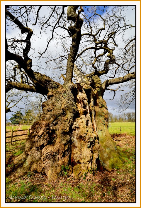 DOI_7598_00029-bb-tt