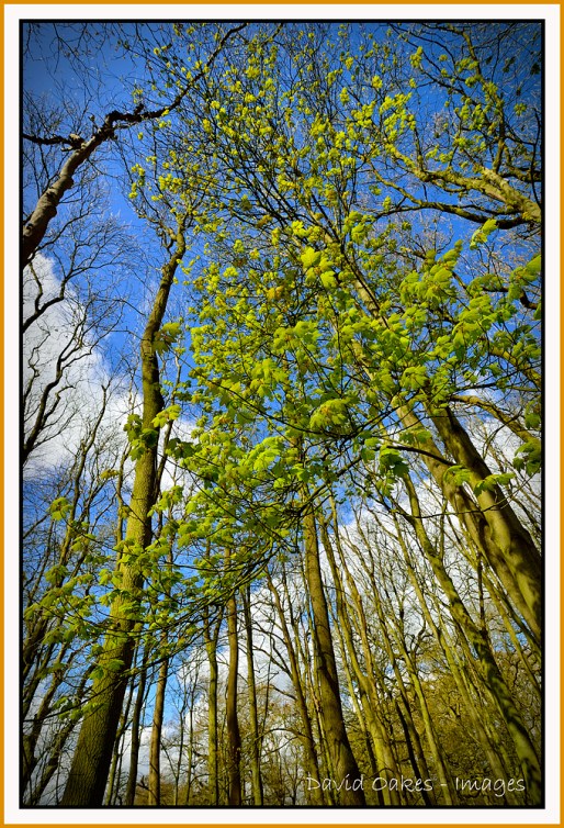 DOI_7681_00046-bb-tt