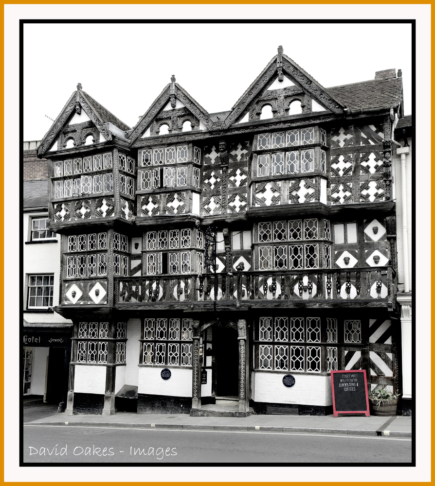 Ludlow--Feathers-B&amp;W