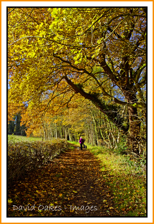 autumn-walk-2-_088tiff_raw