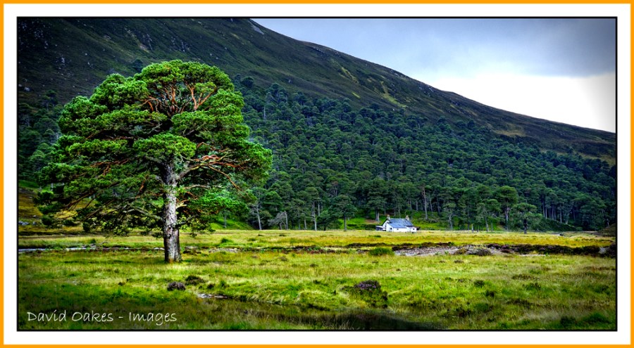 braemar_0377