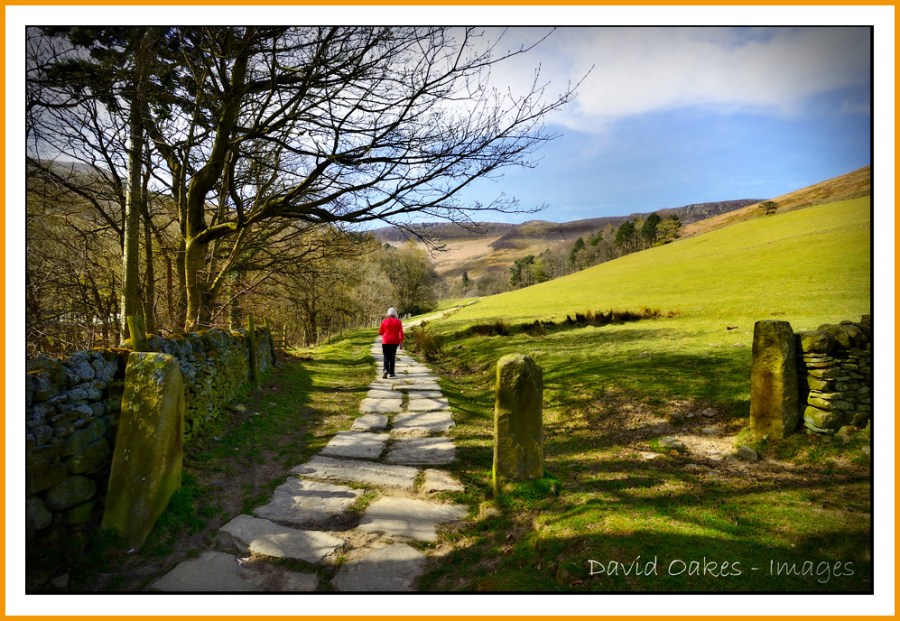 _a-well-trodden-path