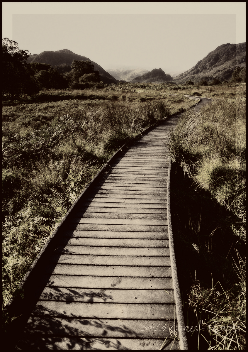 cumbria-9-8-_386-seia