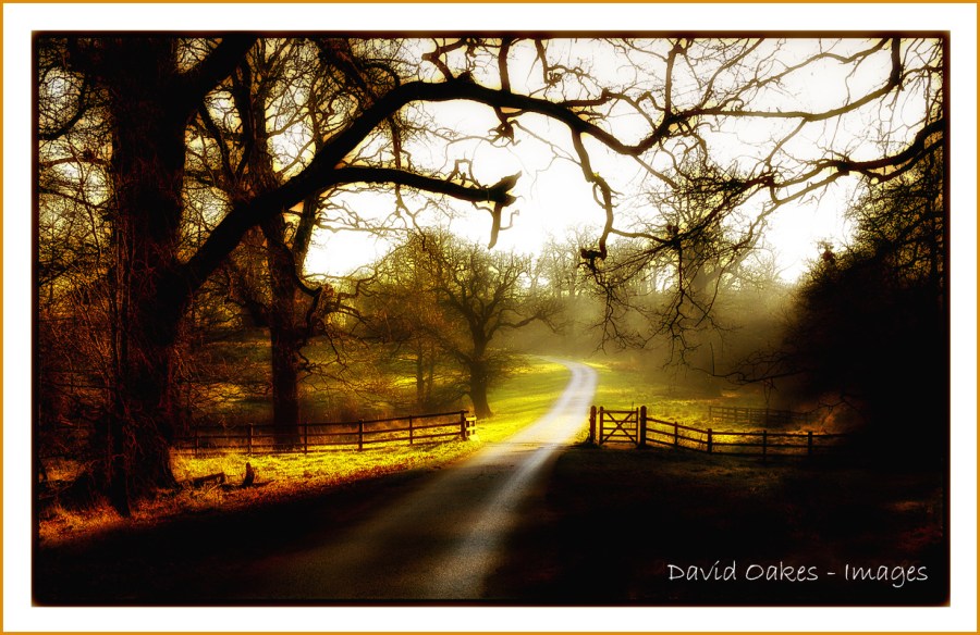 wet-and-misty-morning-ggg