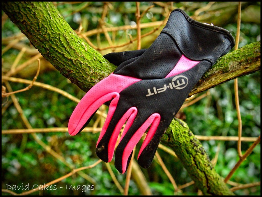 glove-1-winter-2016-2017