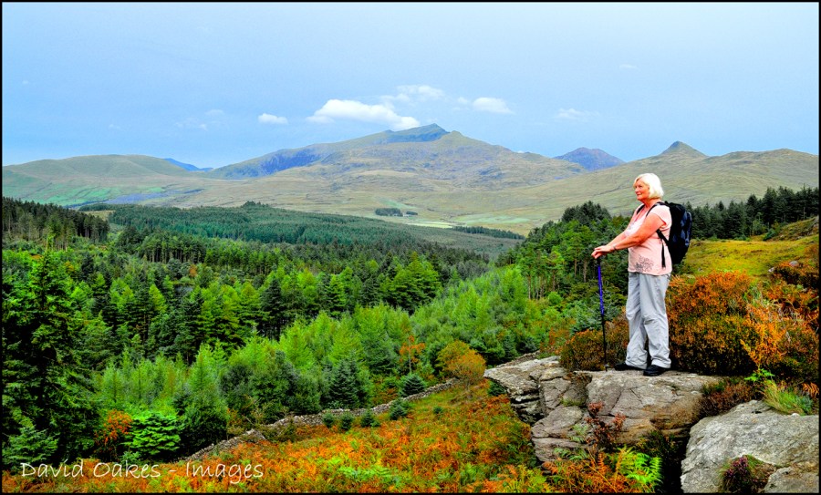 snowdonia-late-summer