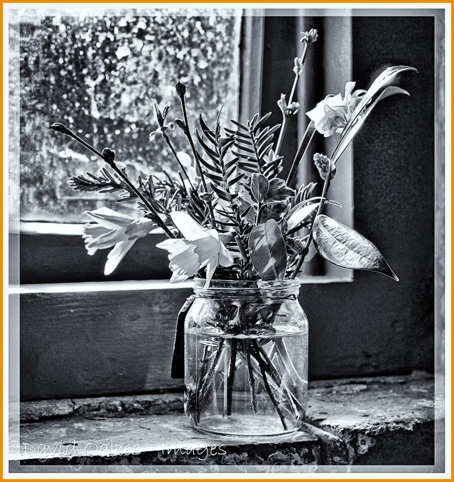 spring-on-the-window-sil-bwwwl