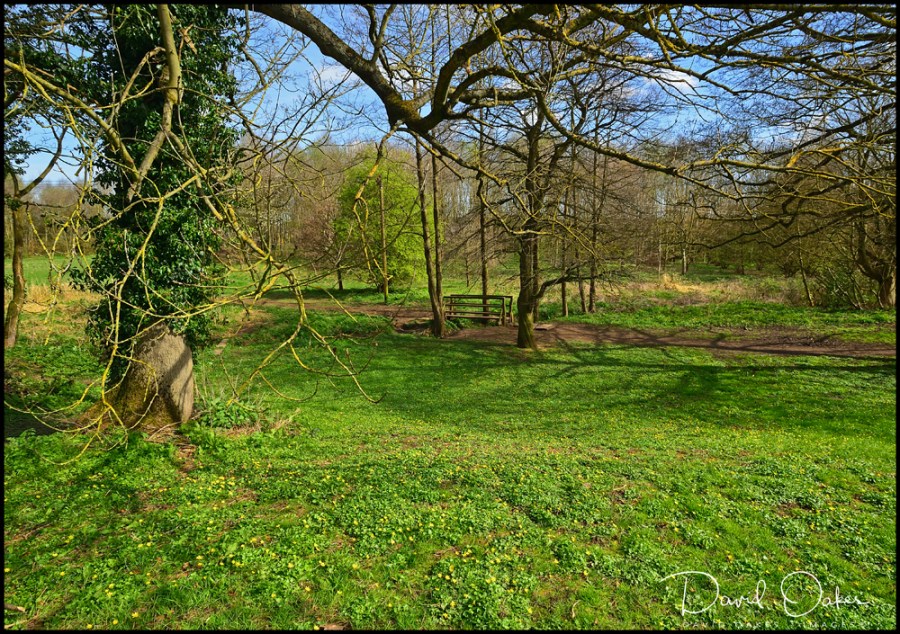 DOI_2145_00023bb - Copy