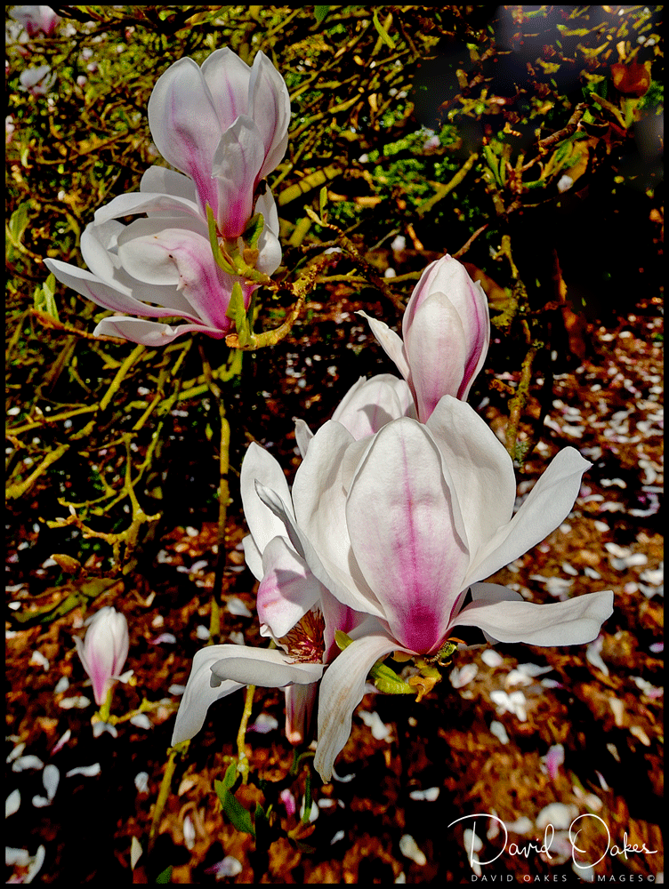 DOI_2174_00021ttt-copy