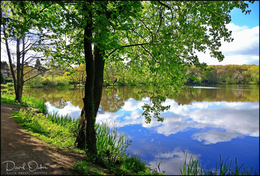 DSC_7337_00031bb - Copy