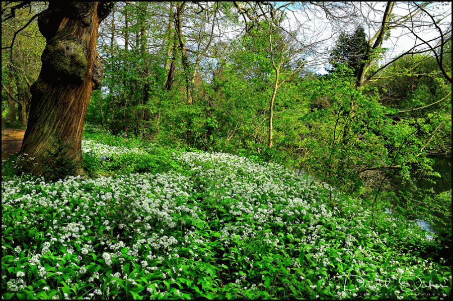 DOI_2312_00002-Base-bbb