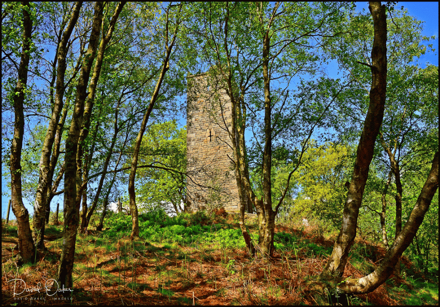 DOI_2442_00047qq1-copy