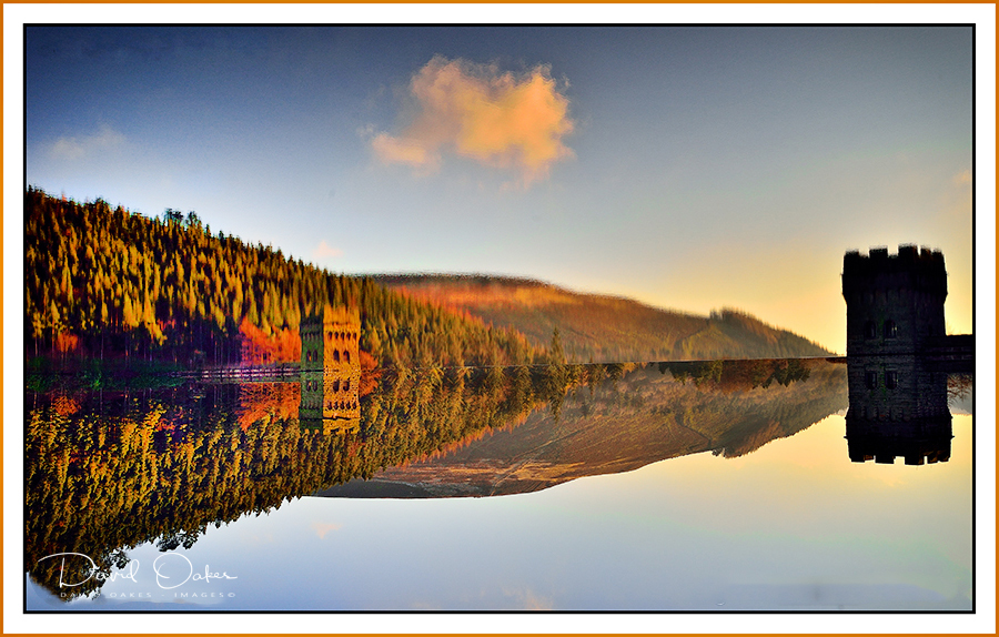 DOI_6949-bb-UPSIDE-DOWN