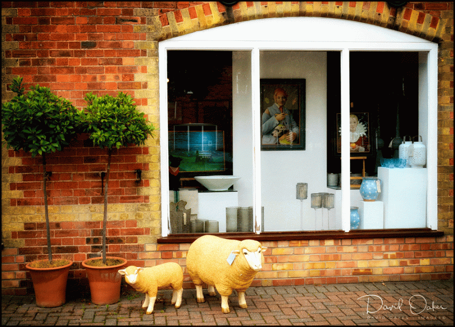 Norfolk-5_837_00059qqq