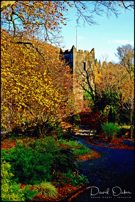 St.-Oswalds------------gs