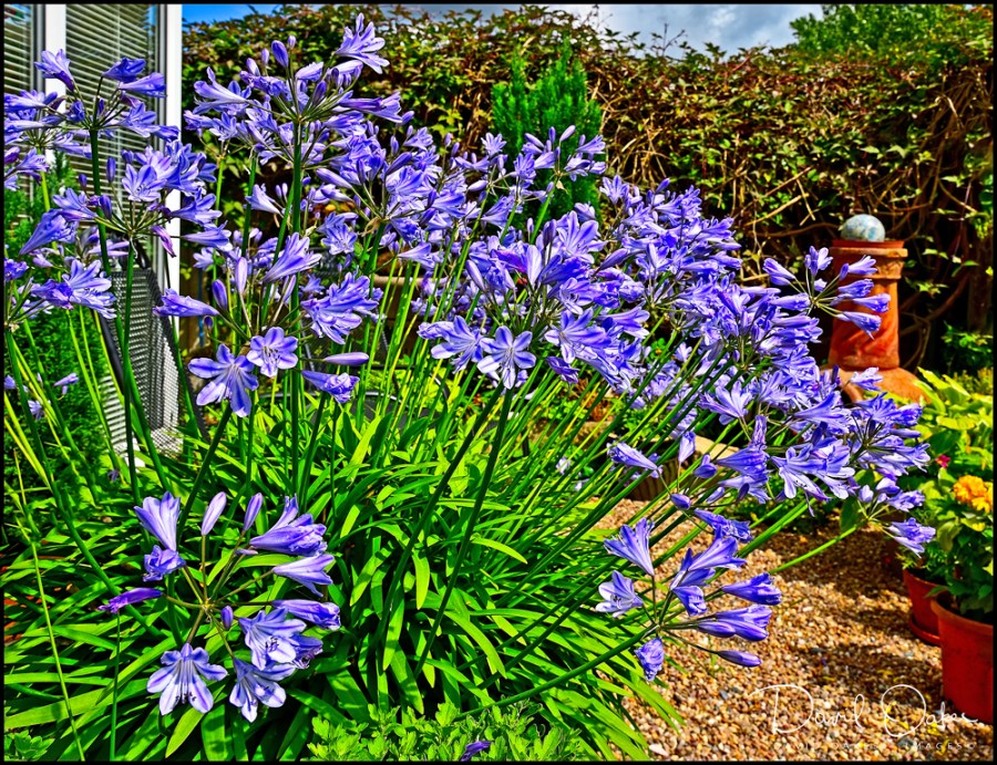 DOI_3703_00044-copybb