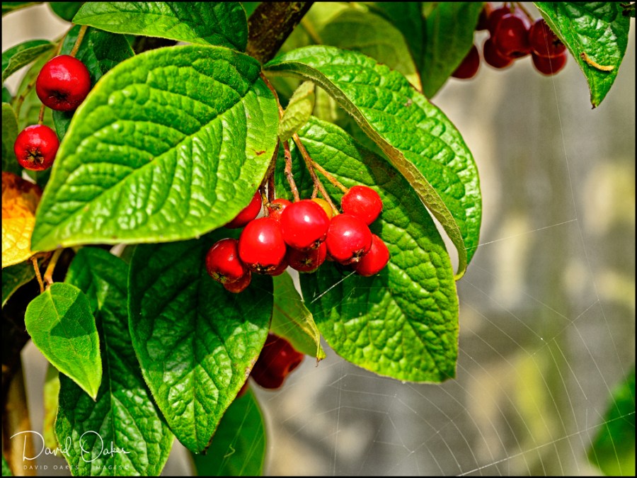 _DO84067_00052_DO84067bbb-ttt