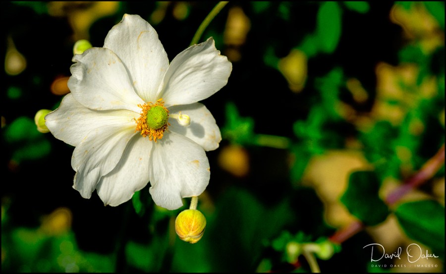 _DO84071_00056_DO84071bbb-ttt