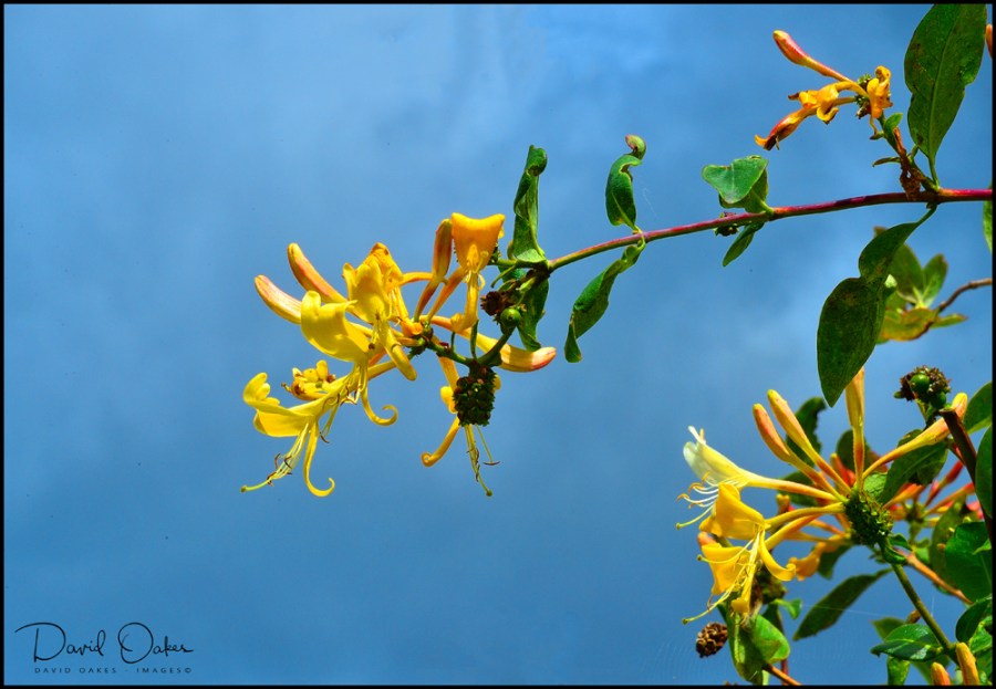 DOI_3865-bbb-copybbb-ttt