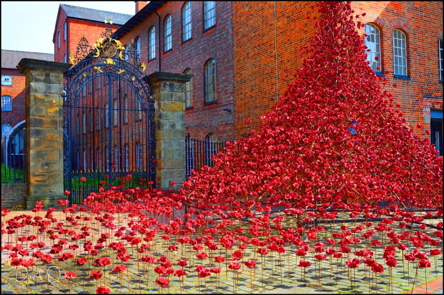 11-NOV-DOI_2710_00050