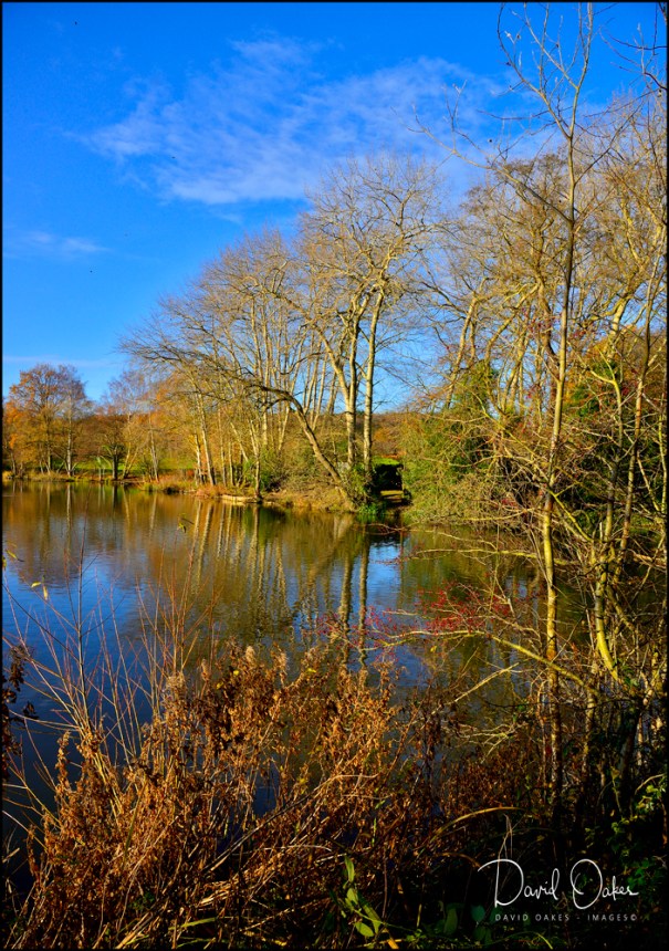 Early-Morning-Allestree