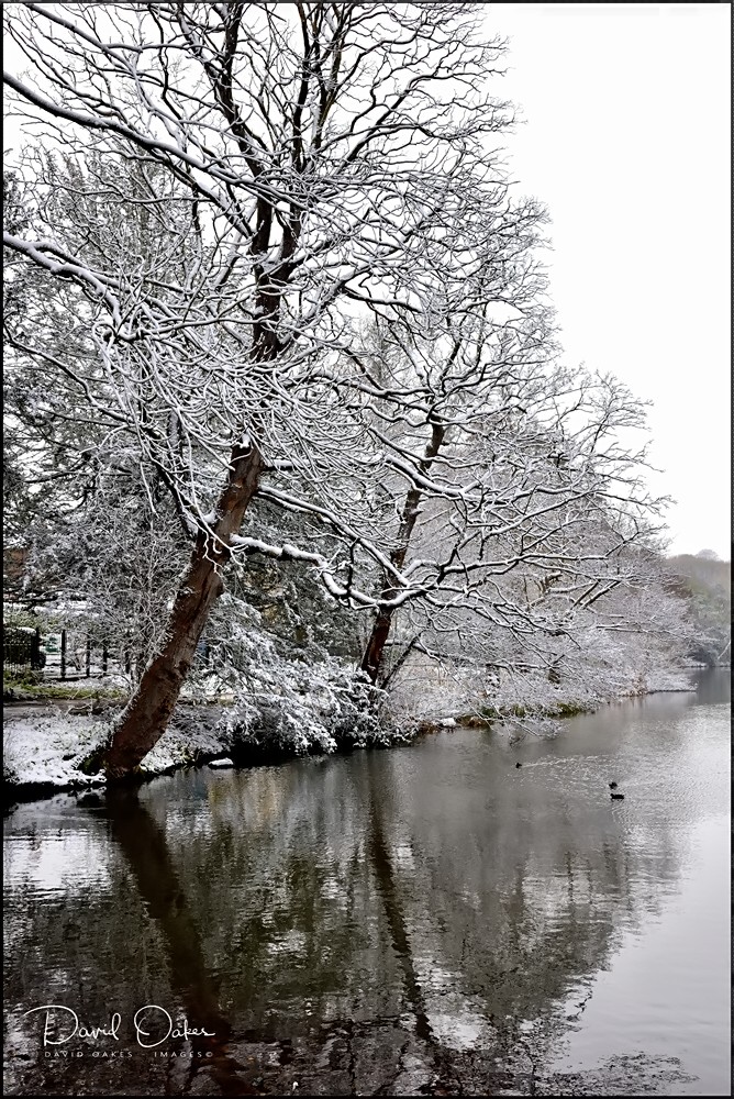 1a_00049_DSC8908bb_filtered