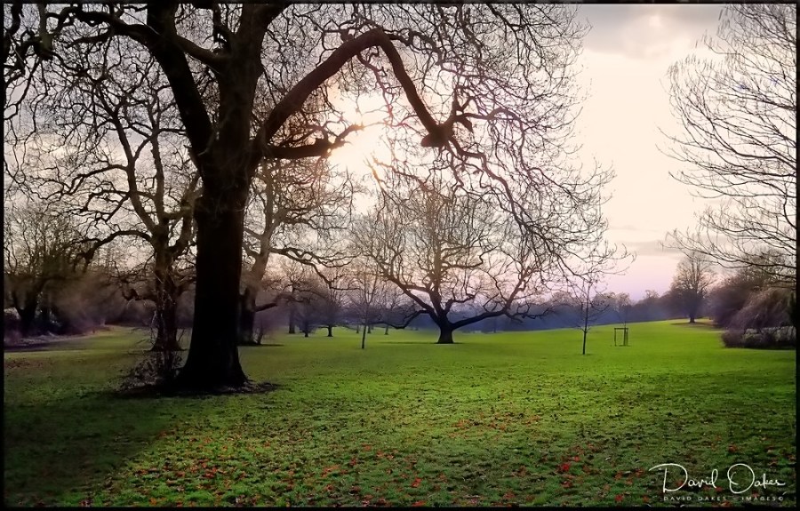 DSCN1639-copy_filtered