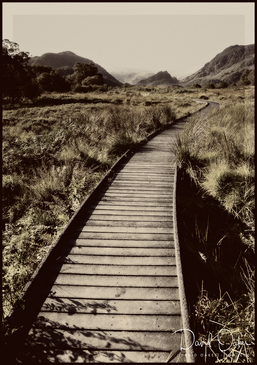 Cumbria-9-8-_386 seia