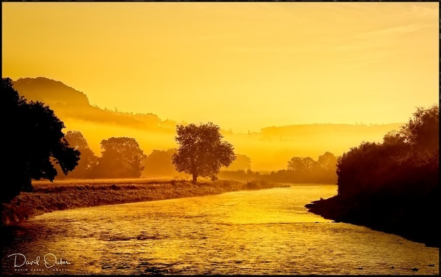 MELROSE----09-08-0733_filtered