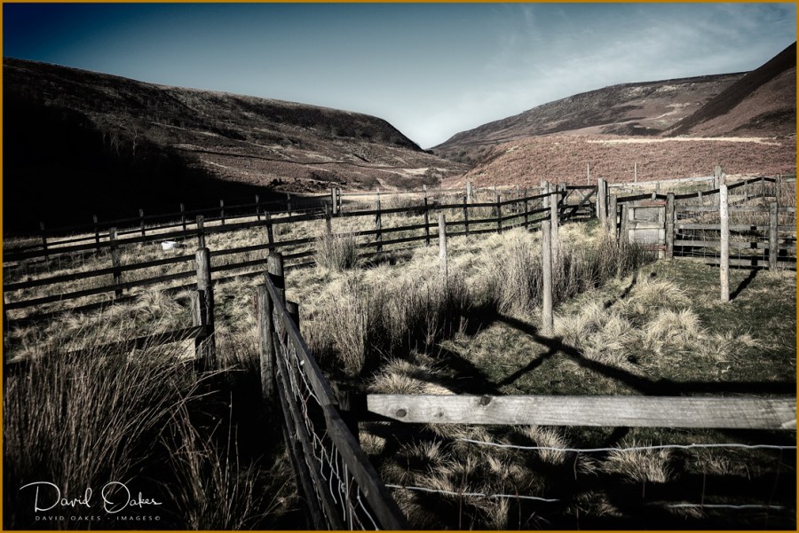 Sheep-Pen-Howden