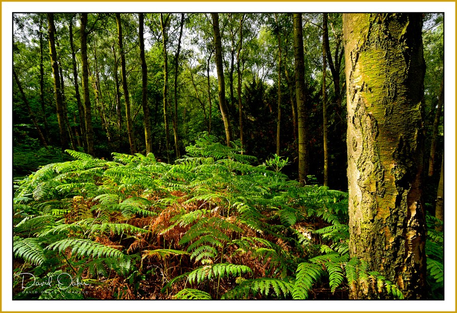 _DSC9612_01--qqqq--aaa