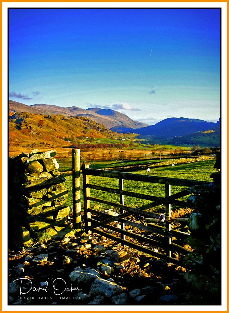 Evening-Sunshine-on-the-Fell