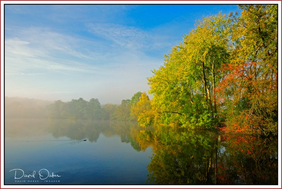 Mist-over-Lake---do