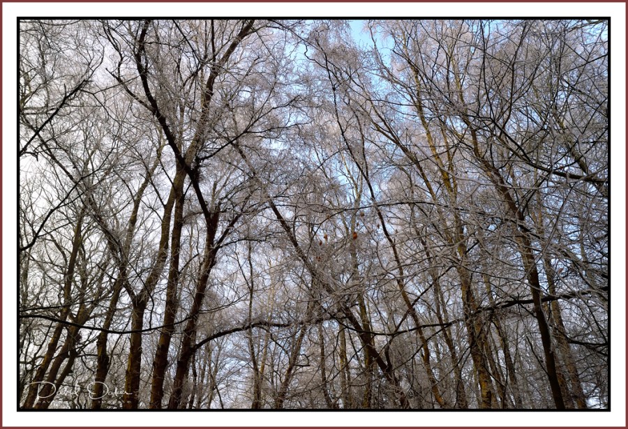 _DOI2216qqq bbbb.jpg