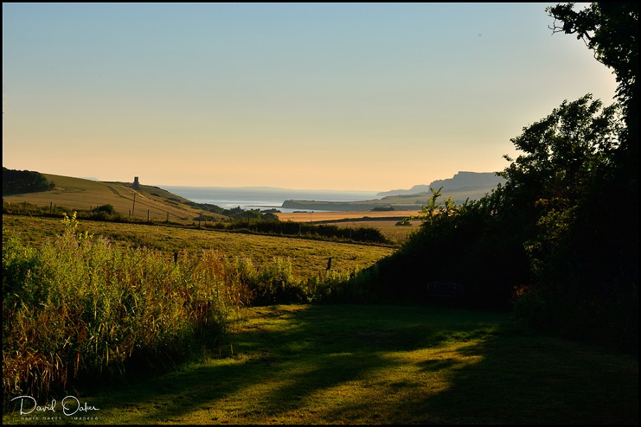 _doi8225_00023-aaaaa