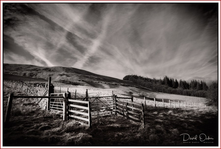Moody-Monday-on-the-Moor