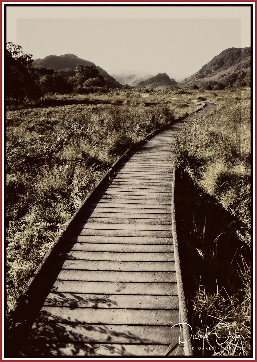 Into the Mountains, Borrowdale, Cumbria