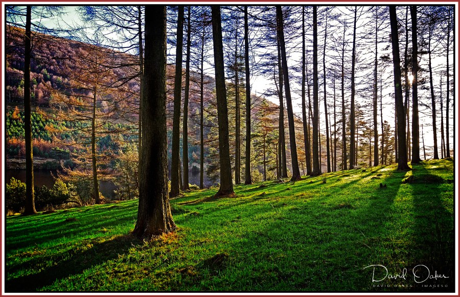 Upper Derwent Valley, Derbyshire