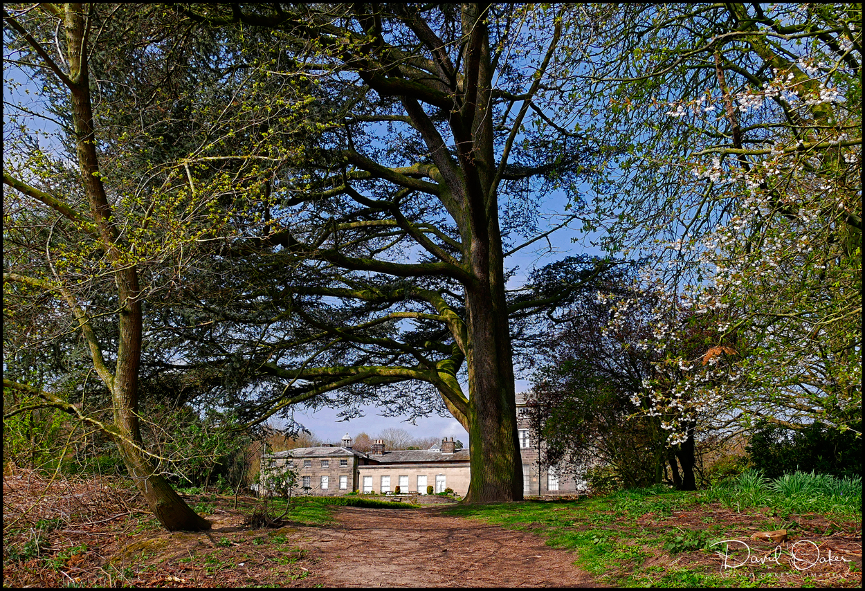 The Weather Pendulum…. is swinging again – DAVID OAKES – IMAGES.