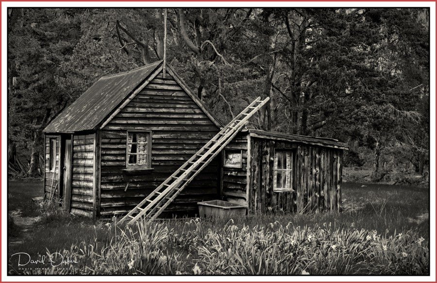 Bigger-Shed-bw