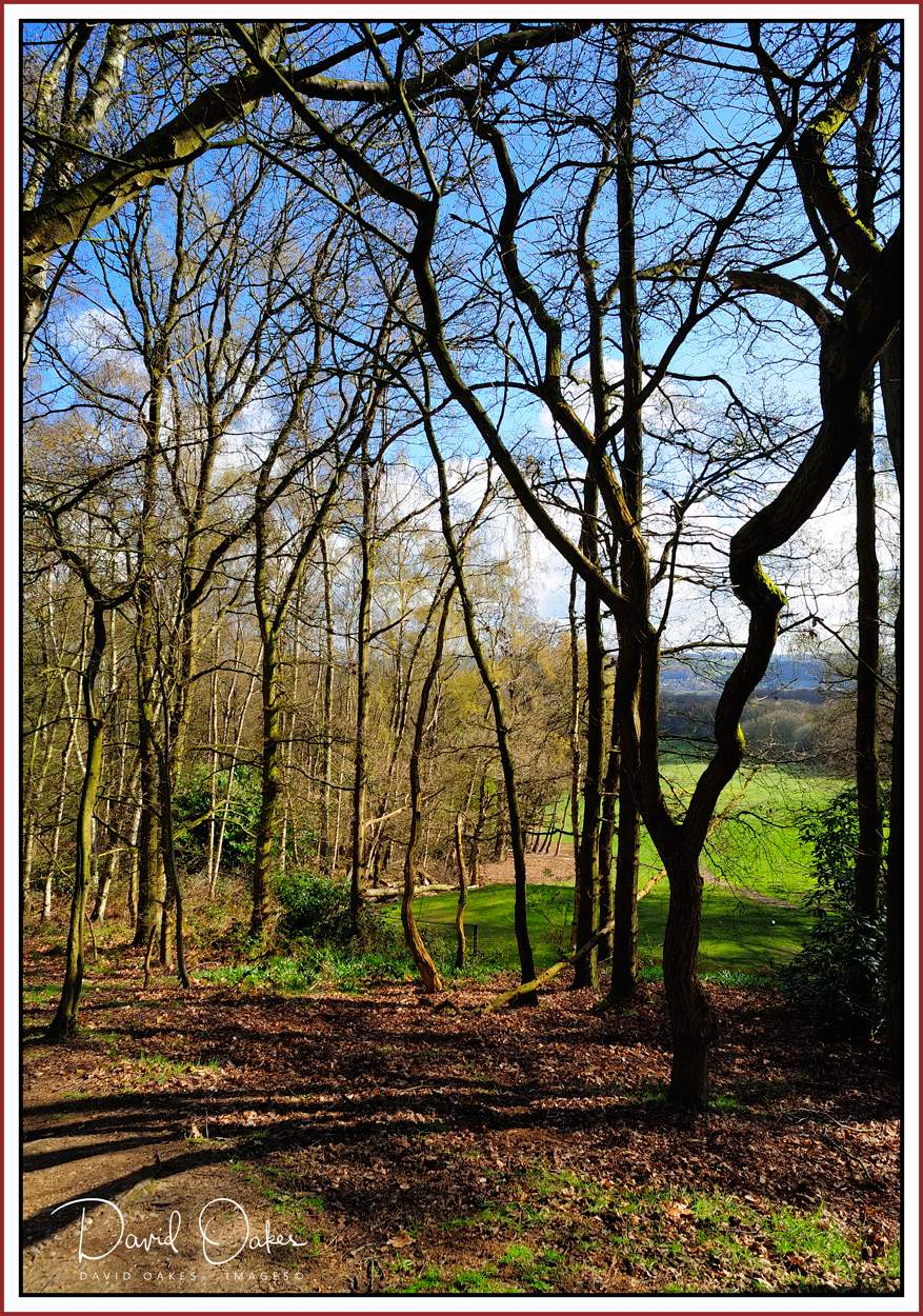 The Weather Pendulum…. is swinging again – DAVID OAKES – IMAGES.