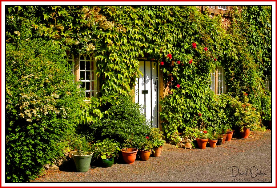 The House in Hidding.jpg