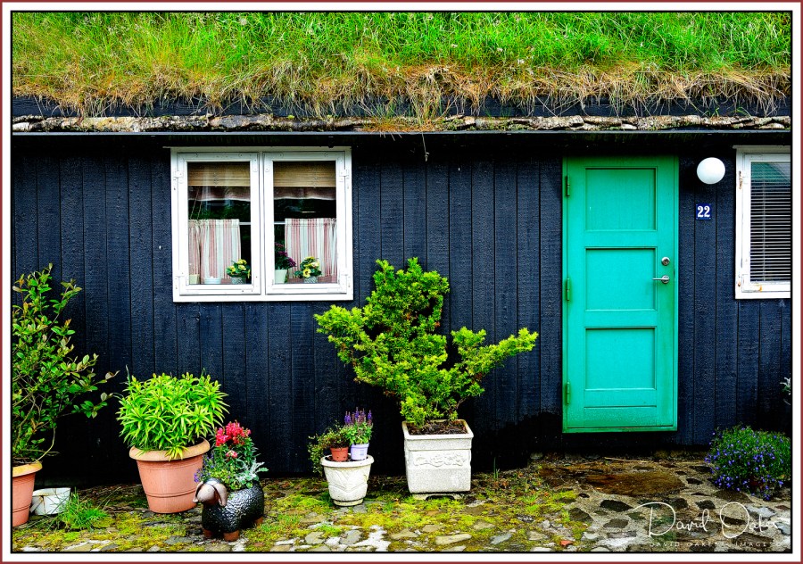 Time-to-Mow-the-Roof