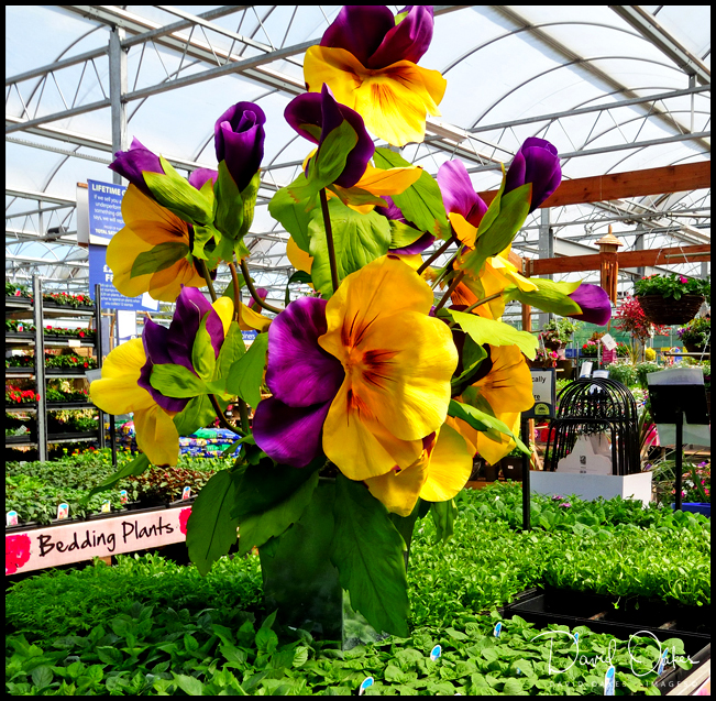 DSCN1364_00001-bbtt ss