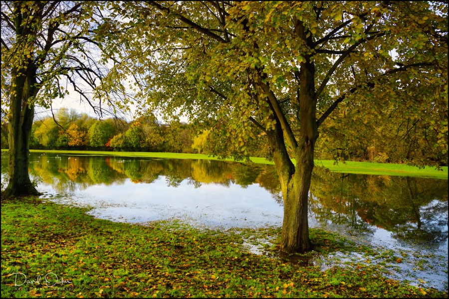 1_00047_DO87996-(1)qqq