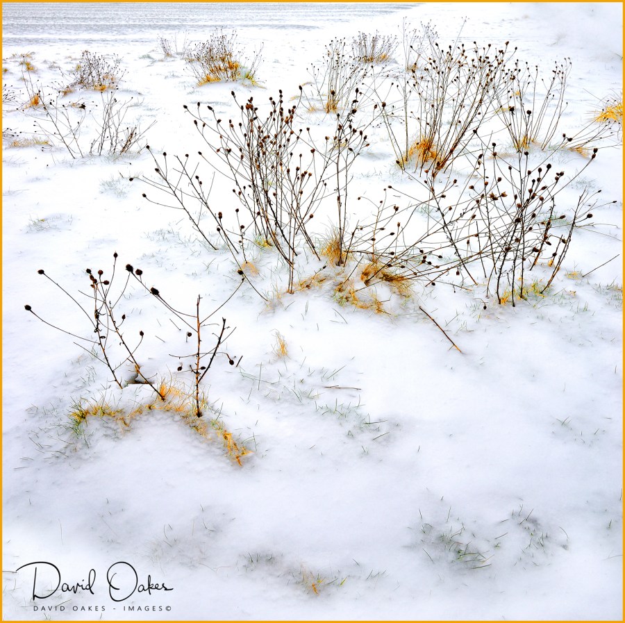 _DO85021aa-bbb-----sq