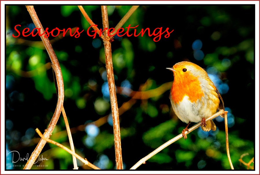 ROBIN-Greetings