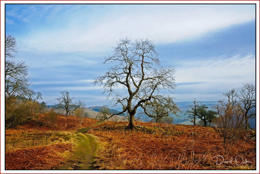 Soon-be-Spring-2010--_0030